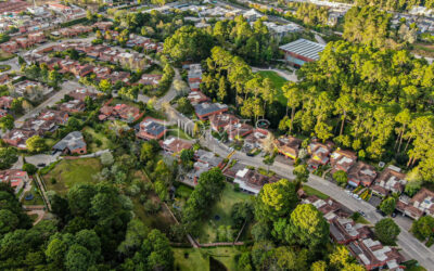 Drone de Bosques de las Luces